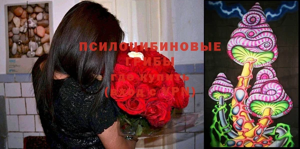марки nbome Арсеньев