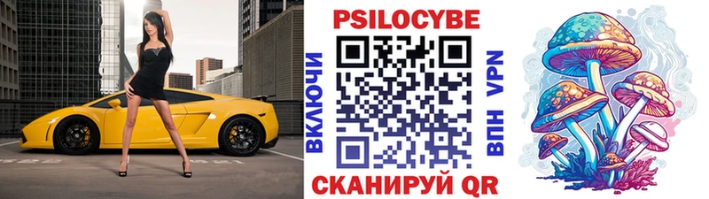 Псилоцибиновые грибы Psilocybine cubensis  мега маркетплейс  Мегион  закладка 