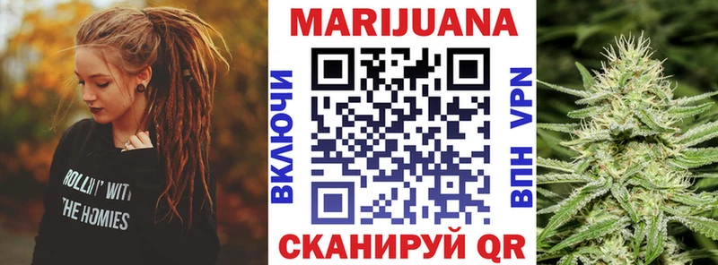 Шишки марихуана план  как найти наркотики  Мегион 
